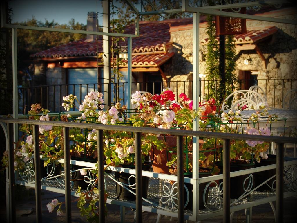 Gasthaus Almazara De San Pedro (Adults Only) Eljas Exterior foto